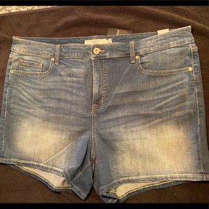 Torrid High Waisted Shorts